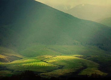 短信验证码轰炸在线版