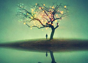 网络电话呼叫软件免费版